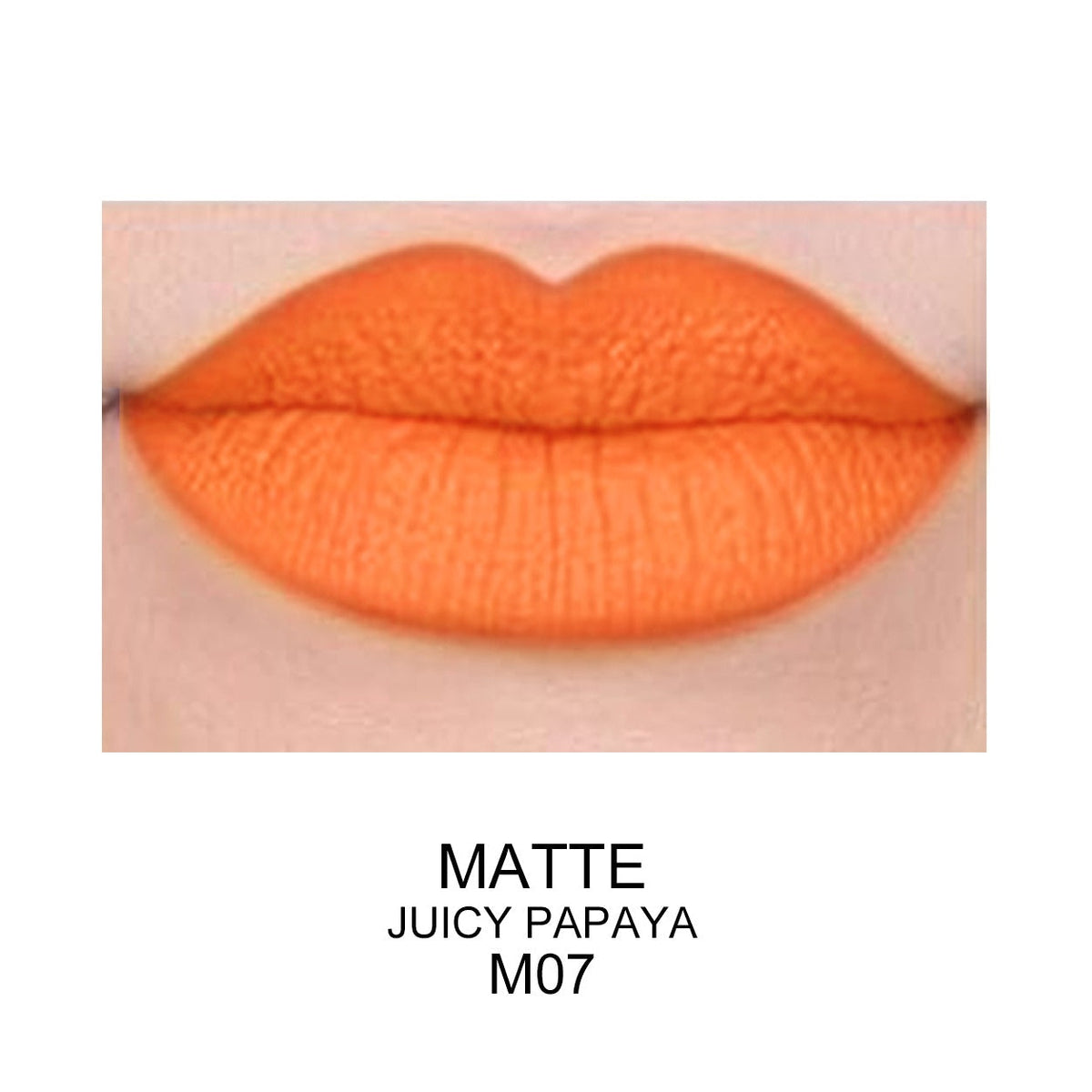 PROLUX Best Matte Long Lasting Lip Gloss - Prolux