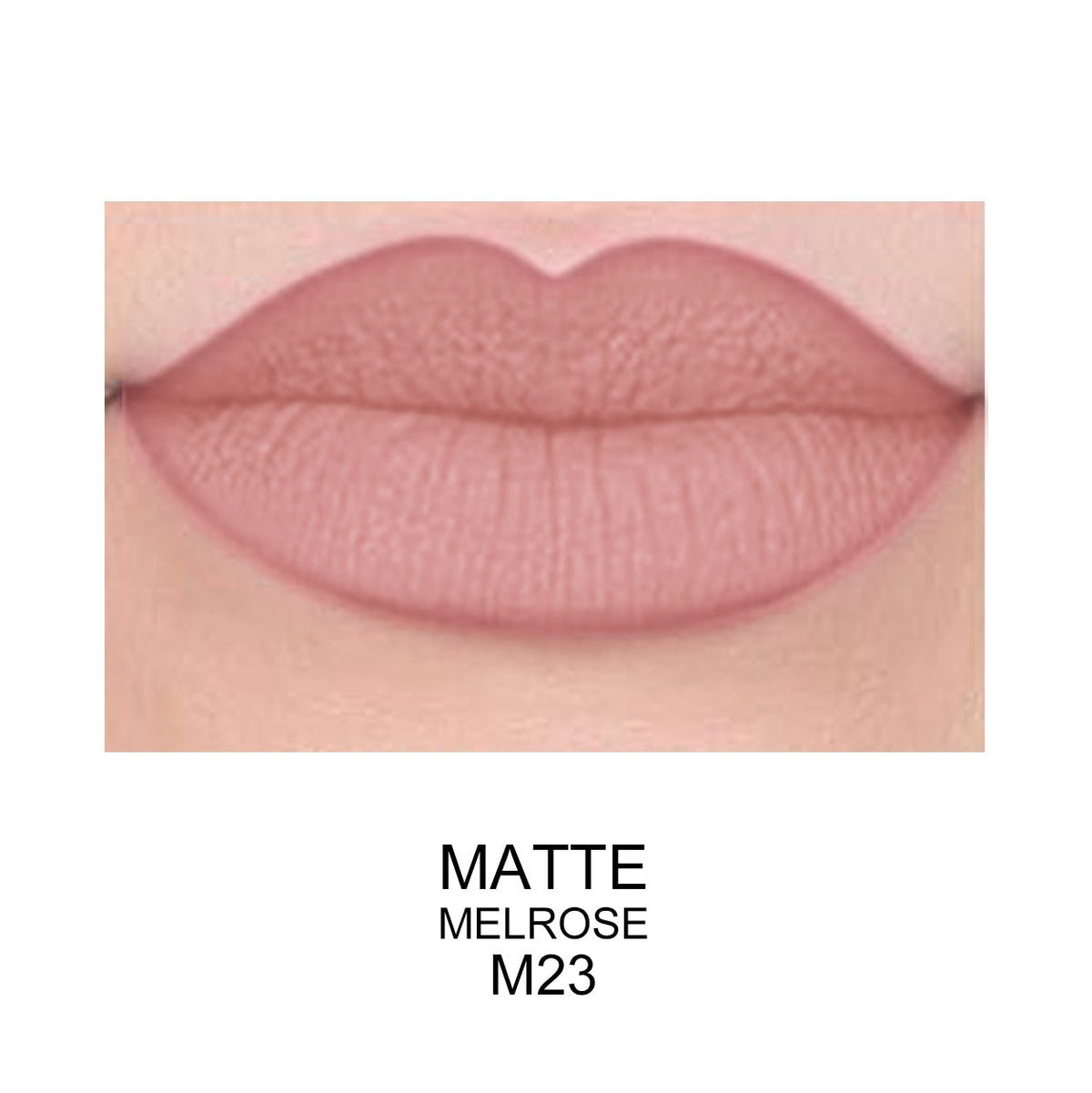 PROLUX Best Matte Long Lasting Lip Gloss - Prolux