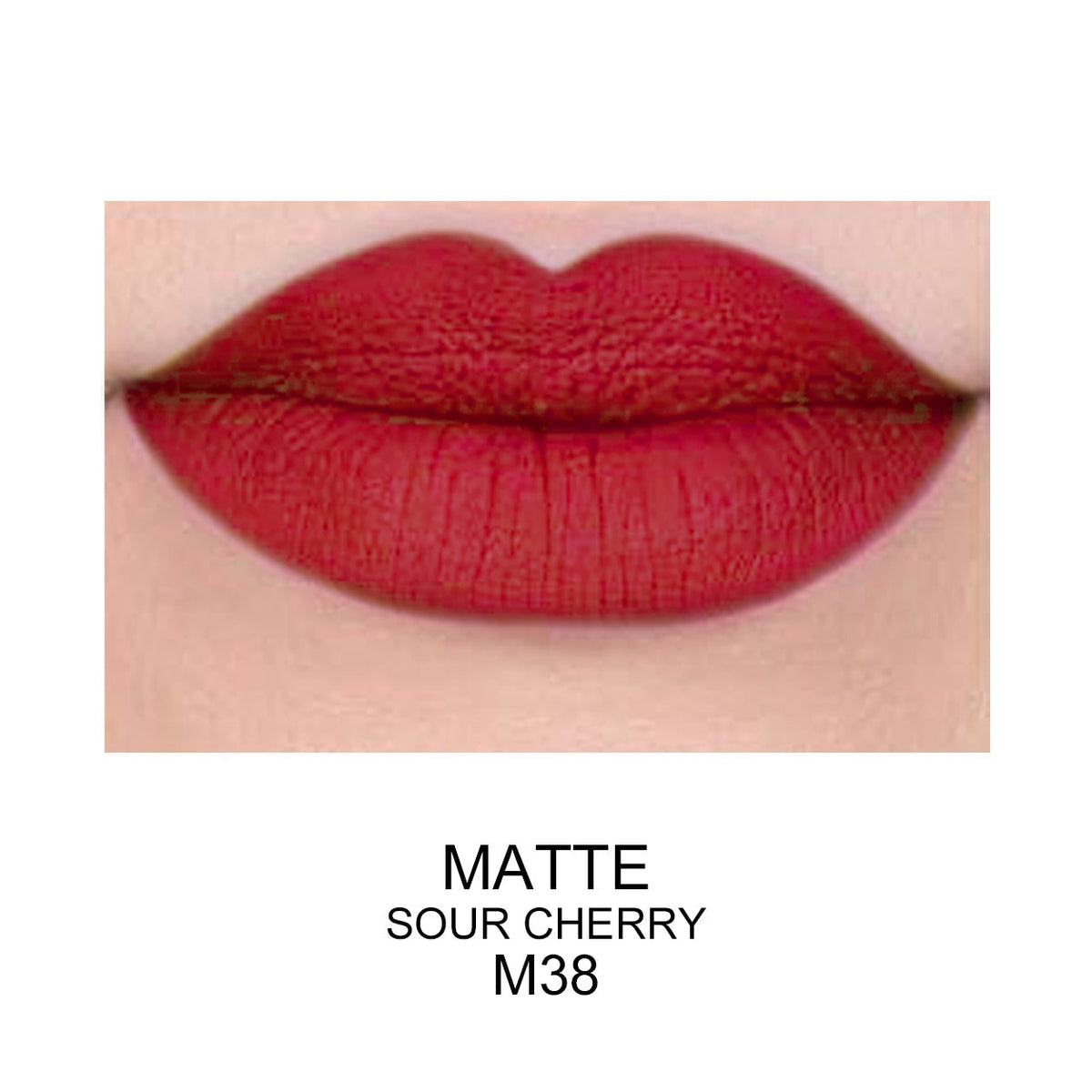 PROLUX Best Matte Long Lasting Lip Gloss - Prolux