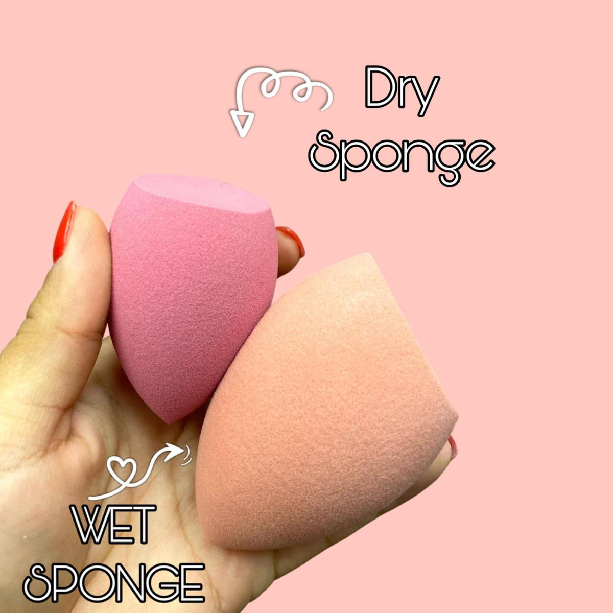 PROLUX Blending Sponge Set