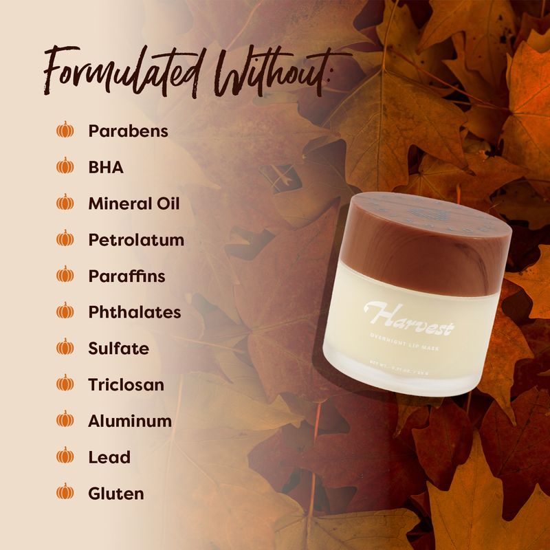PROFUSION Pumpkin Spice | Harvest Overnight Lip Mask