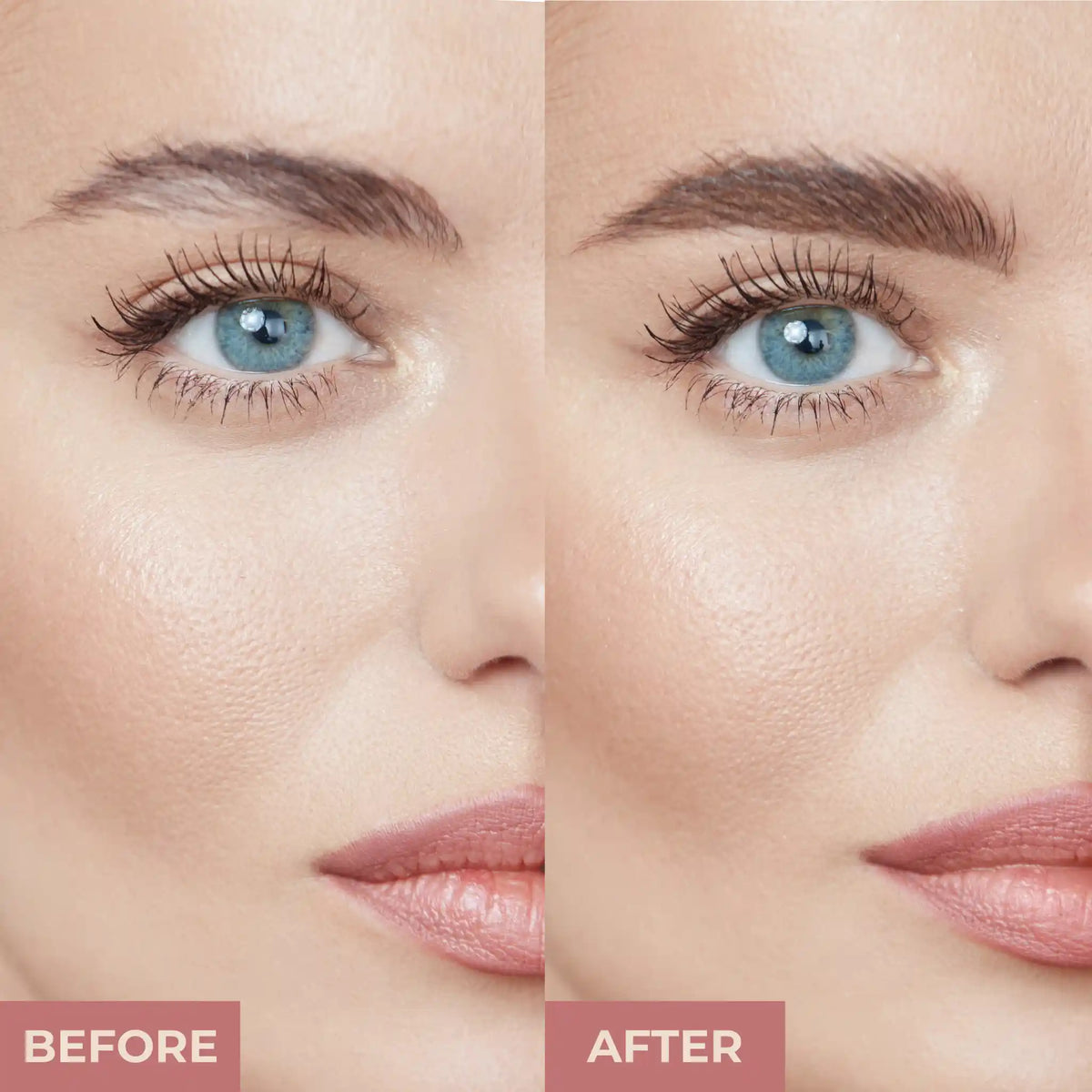 PROLUX Eyebrow Shadow