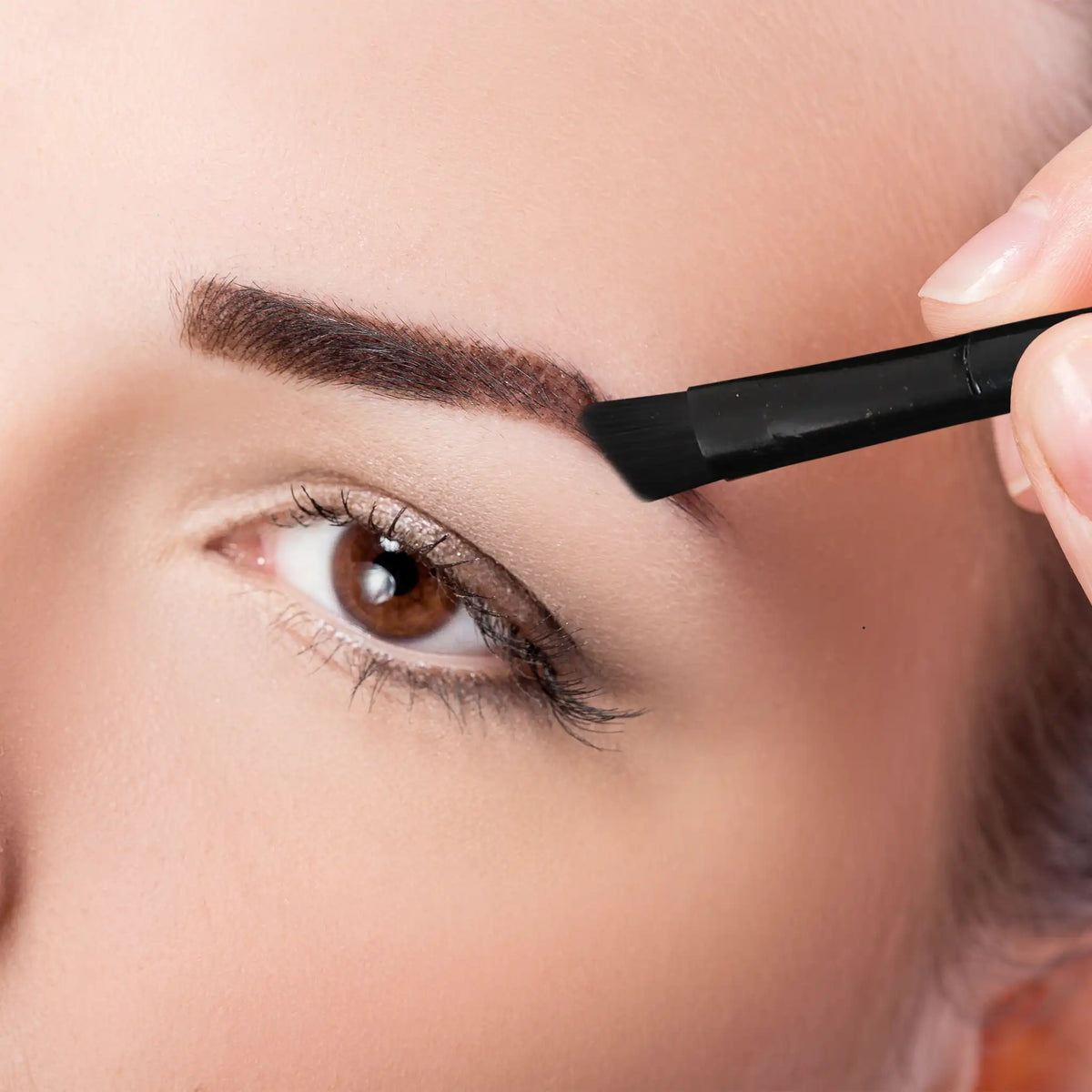 PROLUX PxLook Eyebrow Palette