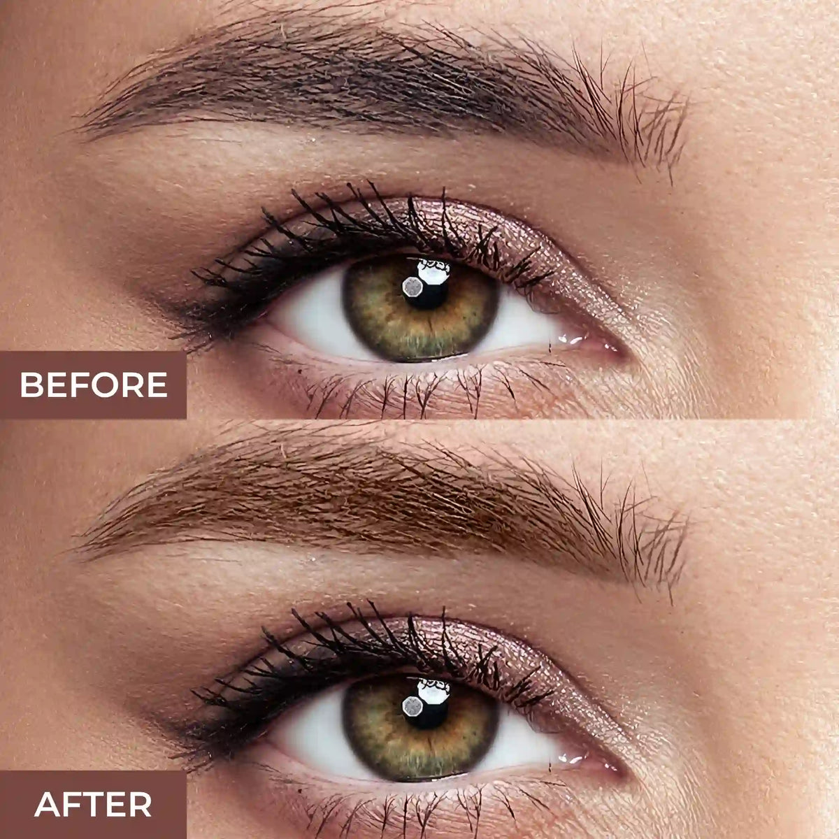 PROLUX PxLook Eyebrow Palette