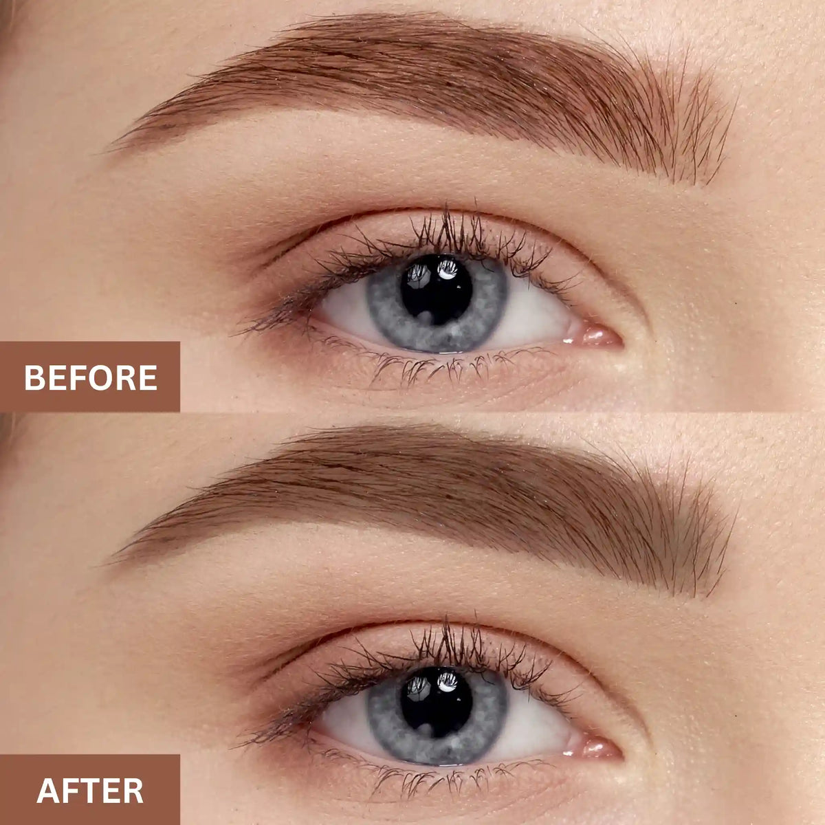 PROLUX Eyebrow Gel and Powder