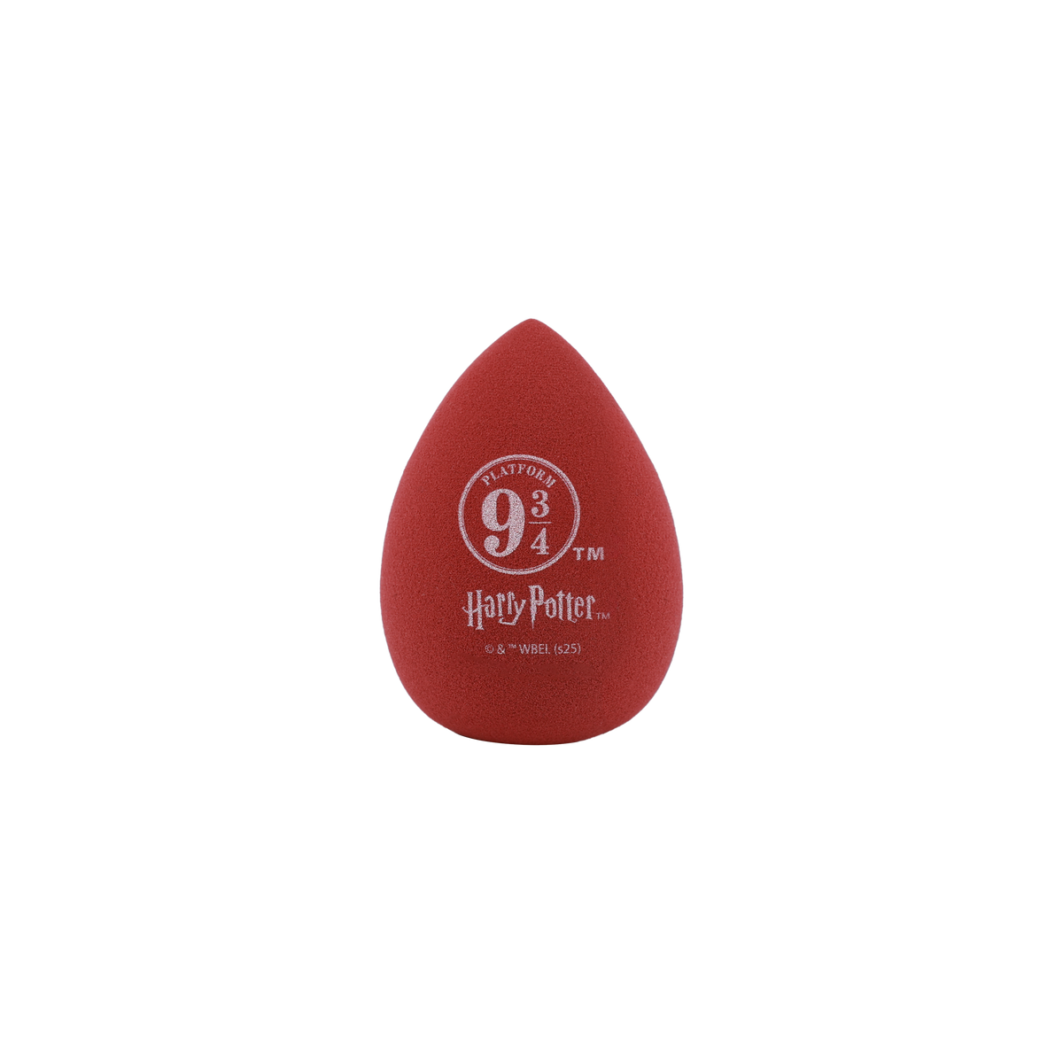 PROFUSION Harry Potter Holiday | Hogwarts™ Express Sponge Set