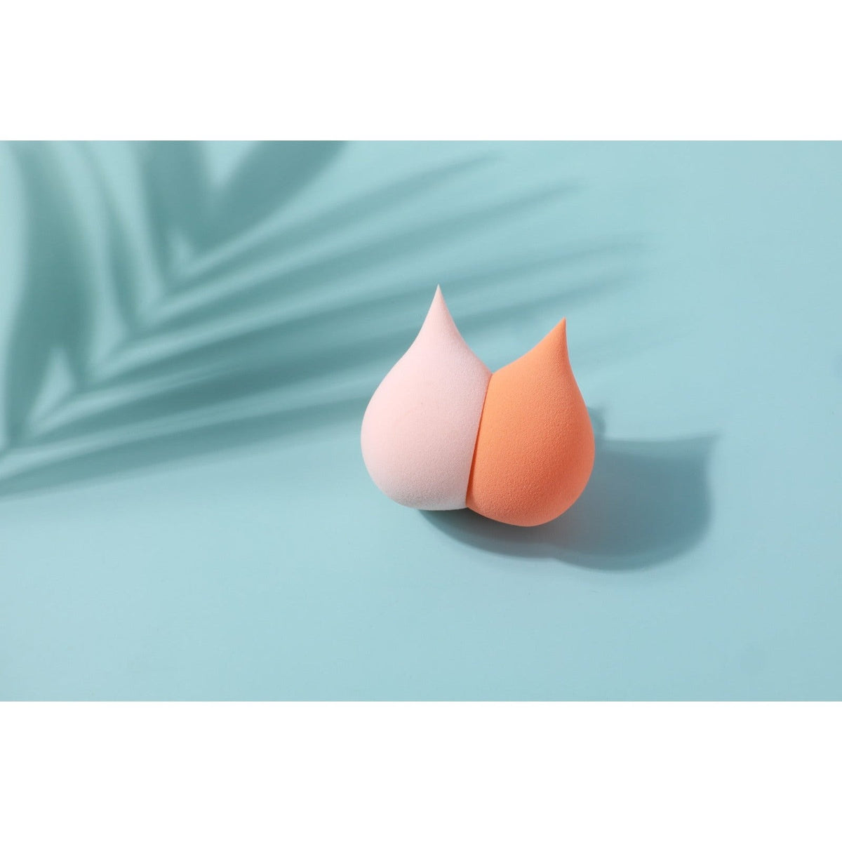 PROLUX 2 in 1 Cat Sponge Set