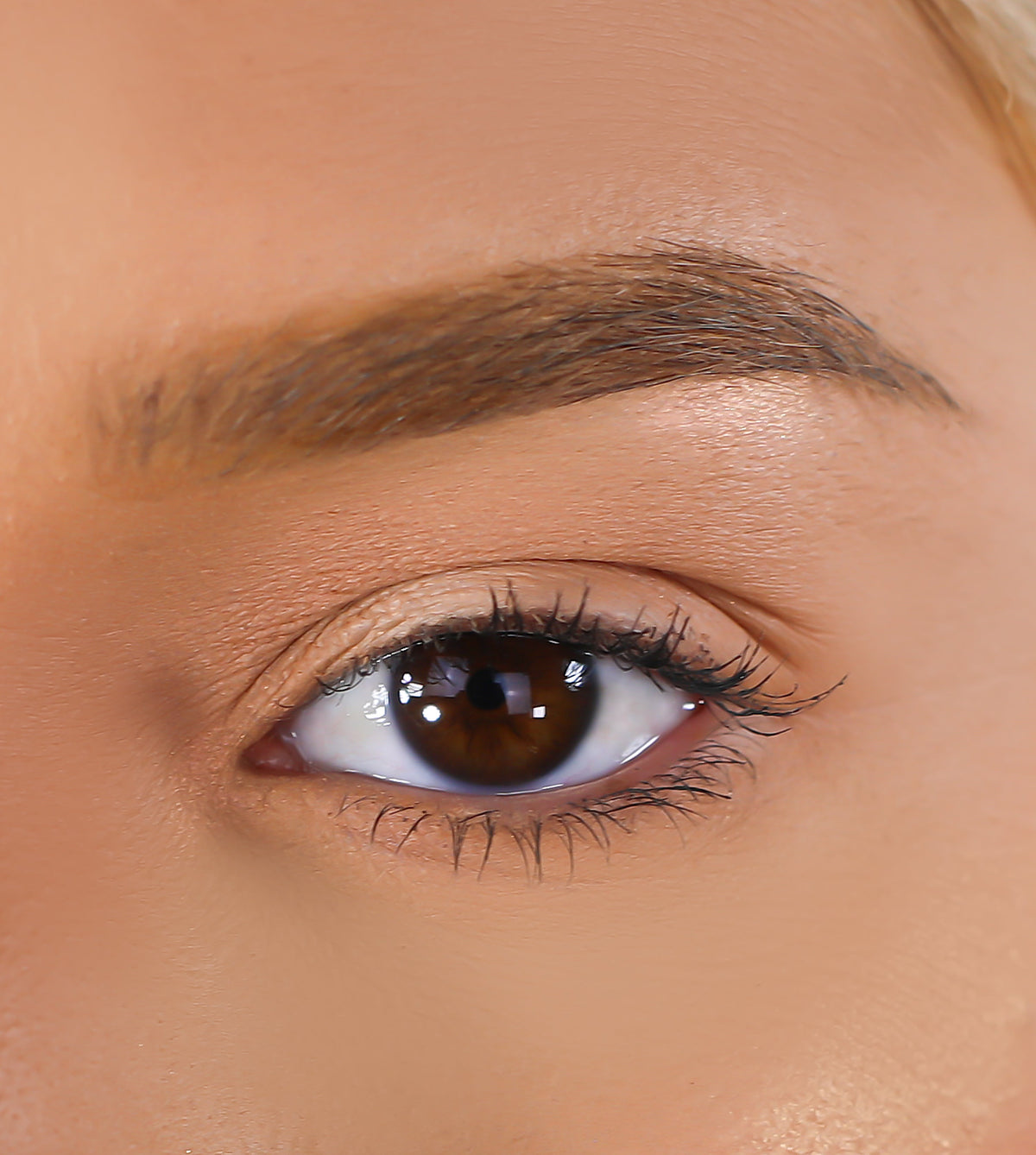 LURELLA 3D Mink Eyelashes - March