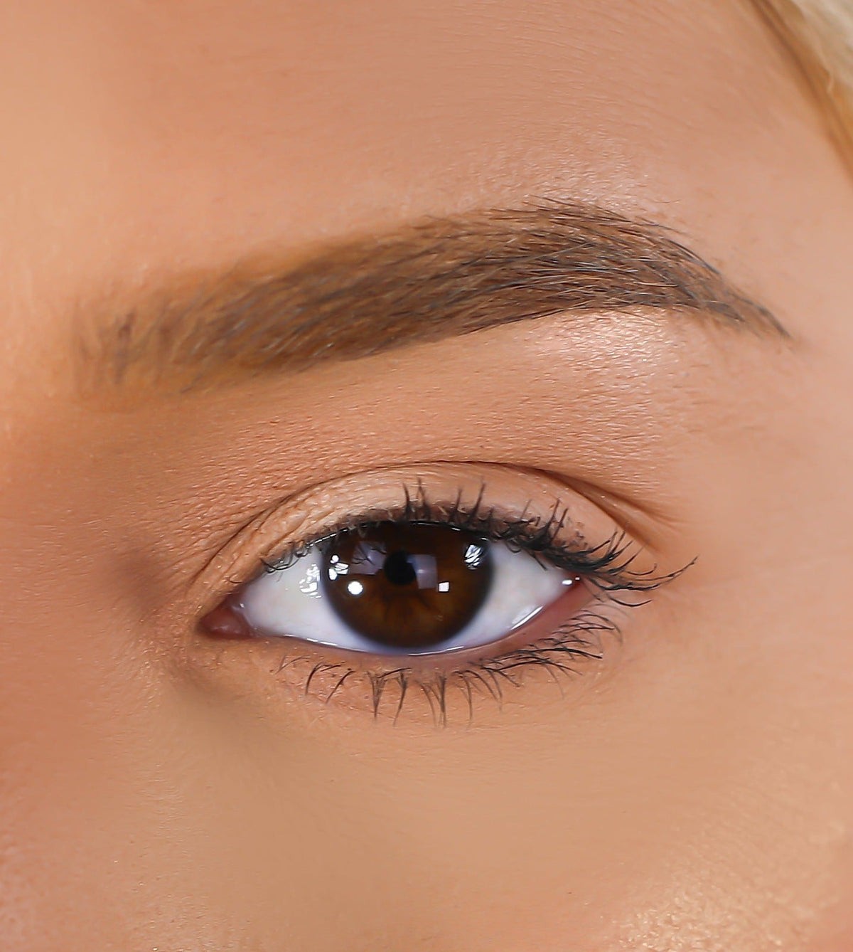 LURELLA 3D Mink Eyelashes - Confident