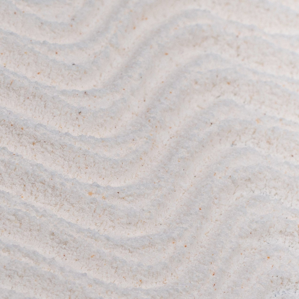 Powder to Foam Face Wash with Willow Bark + Papaya Enzymes