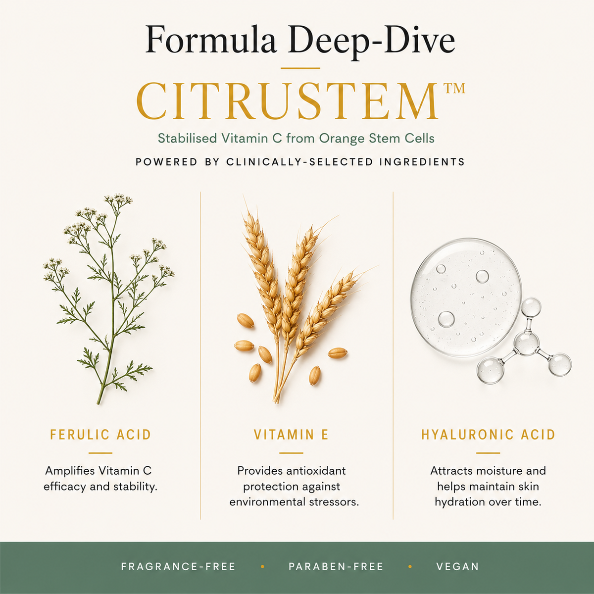 MORNING PERSON Stem-C Vitamin C Brightening Serum with Ferulic Acid