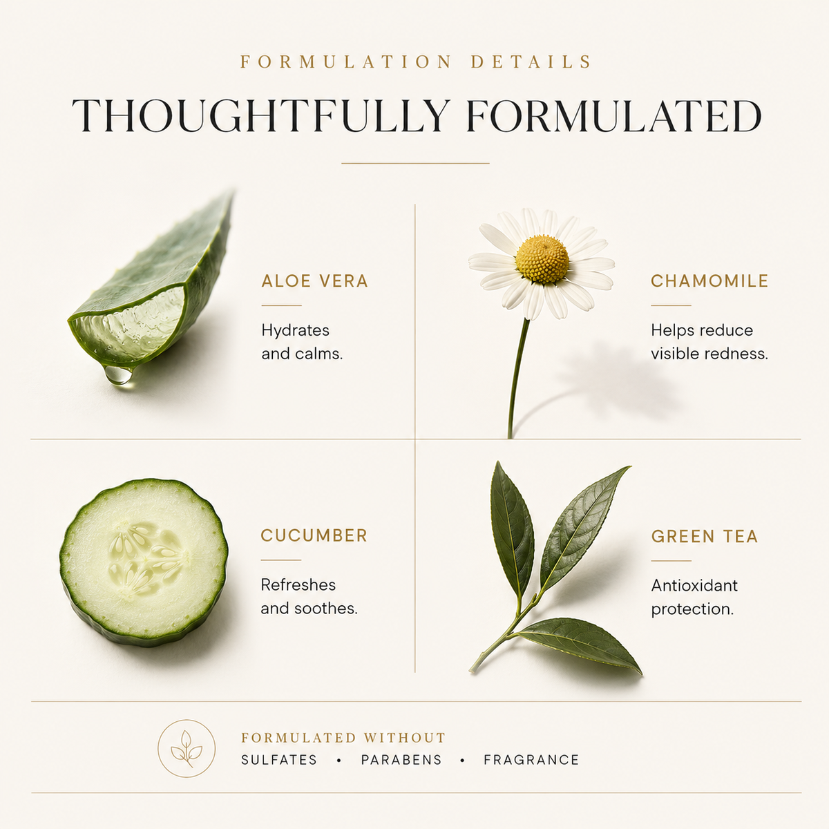 MORNING PERSON Antioxidant Plant Protein Face Cleanser