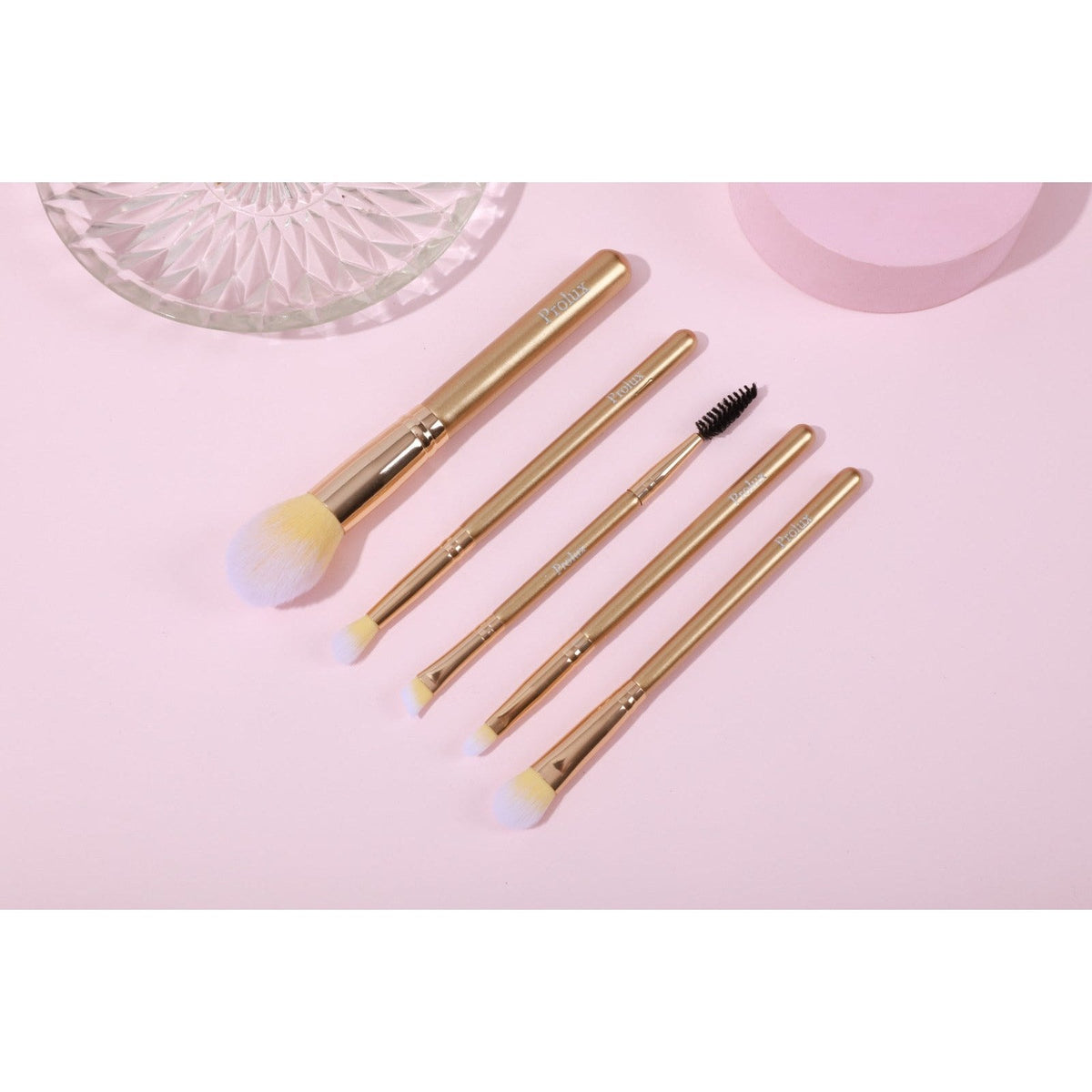 PROLUX Deluxe Brush Set