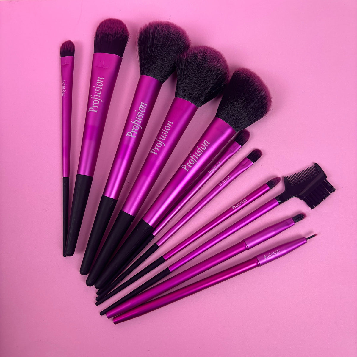 PROFUSION 11pc Makeup Brush Set