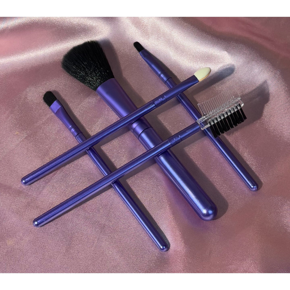 PROLUX Makeup Brush Set: 5pcs