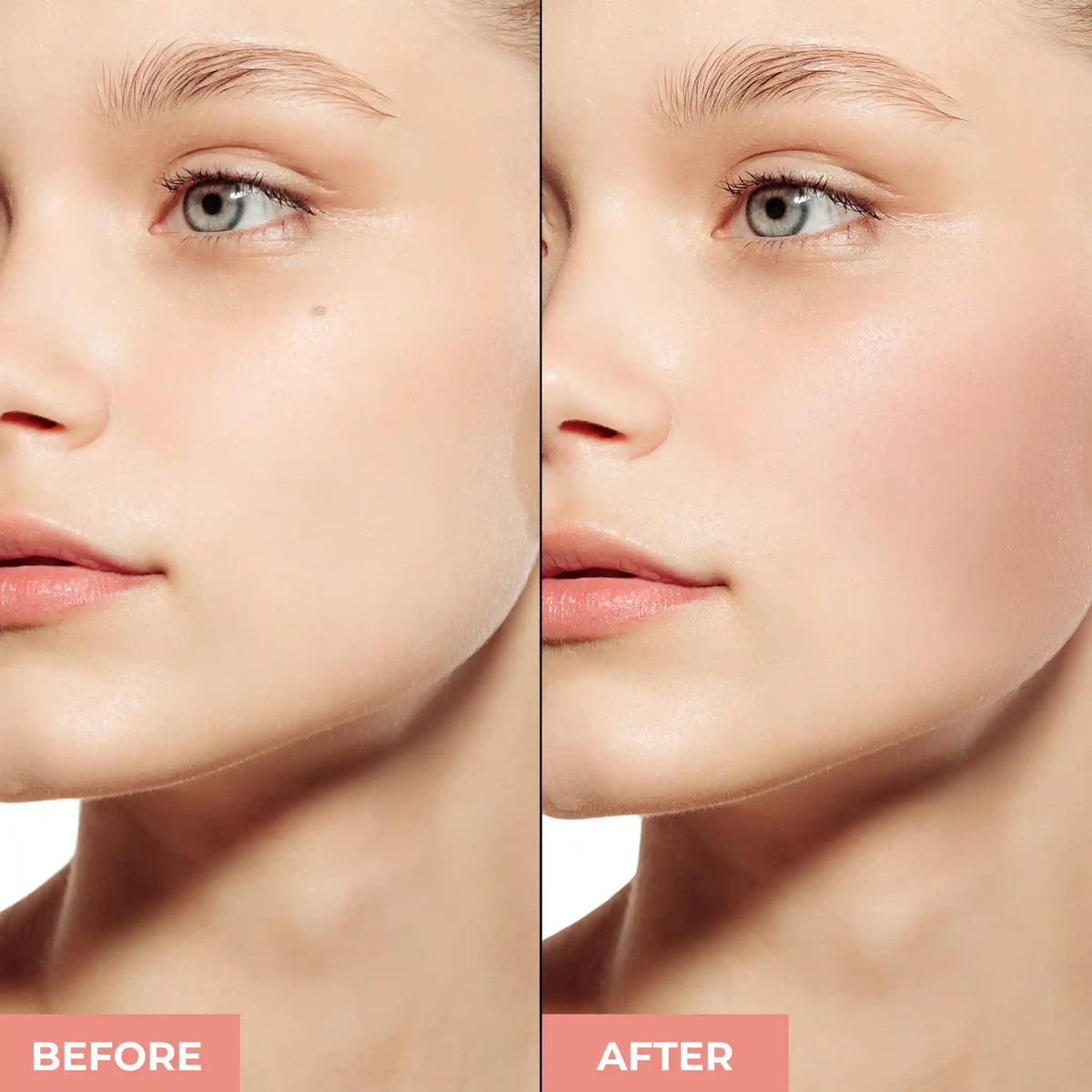 PROLUX Blush Bronzer Duo | Bronze Makeup