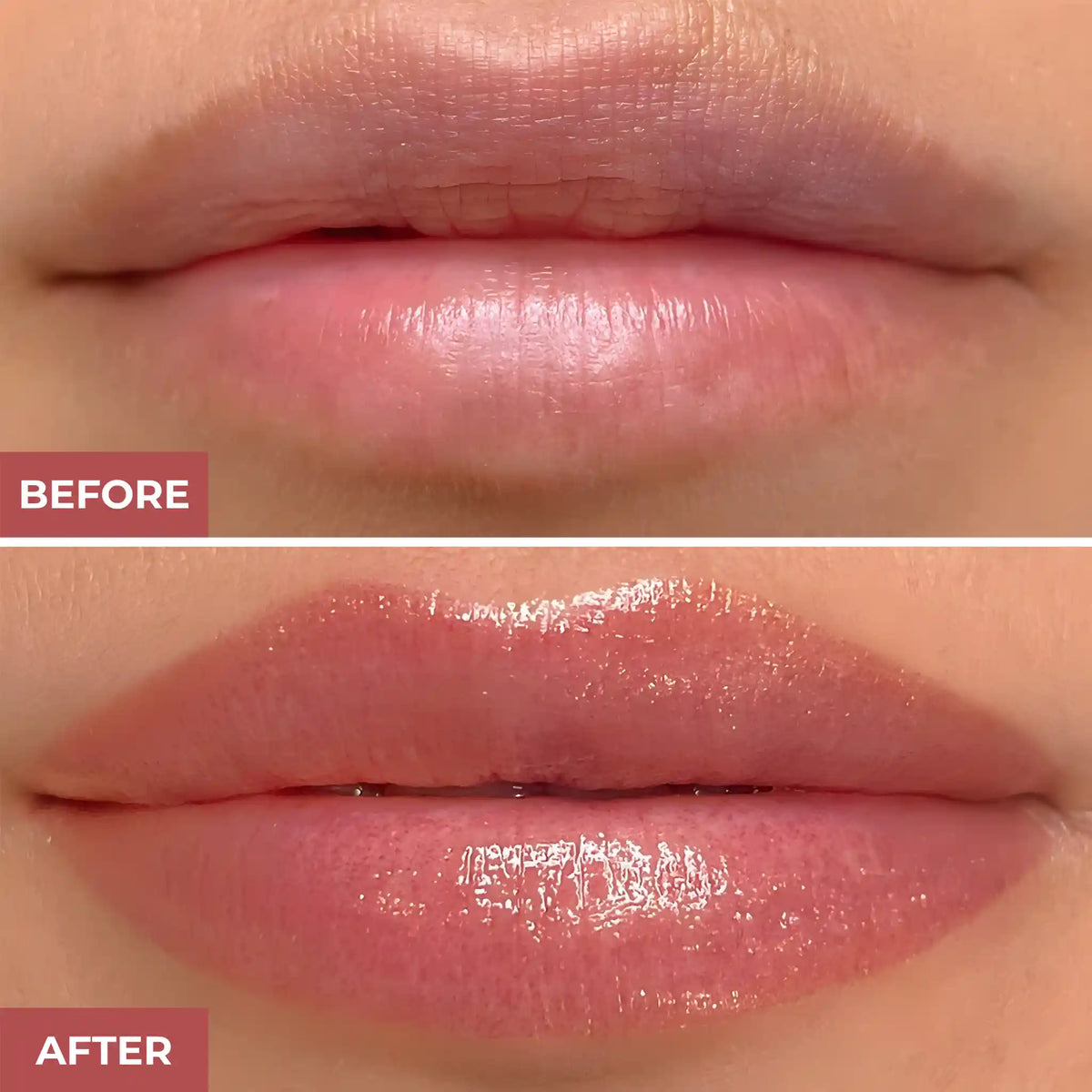 PROLUX 24K Gold Lip Gloss