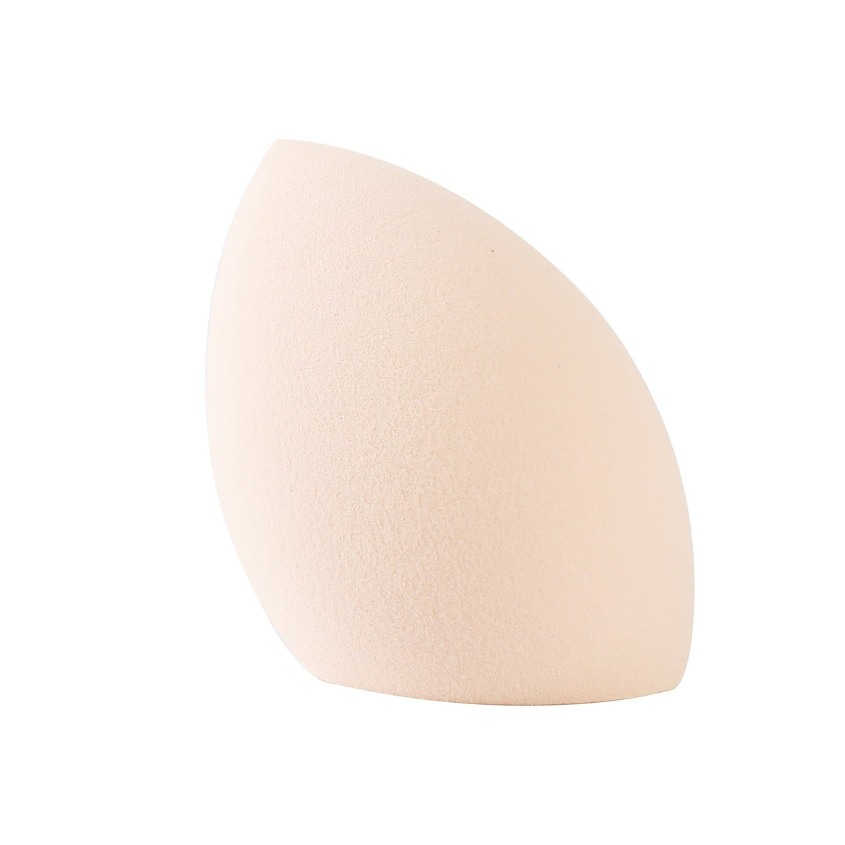 PROLUX Blending Sponge Set