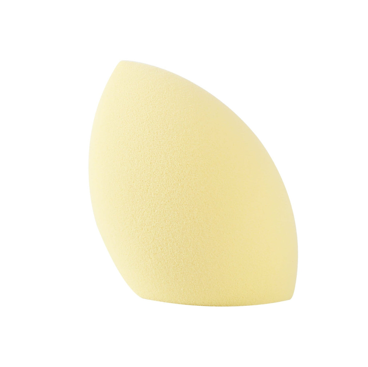 PROLUX Blending Sponge Set