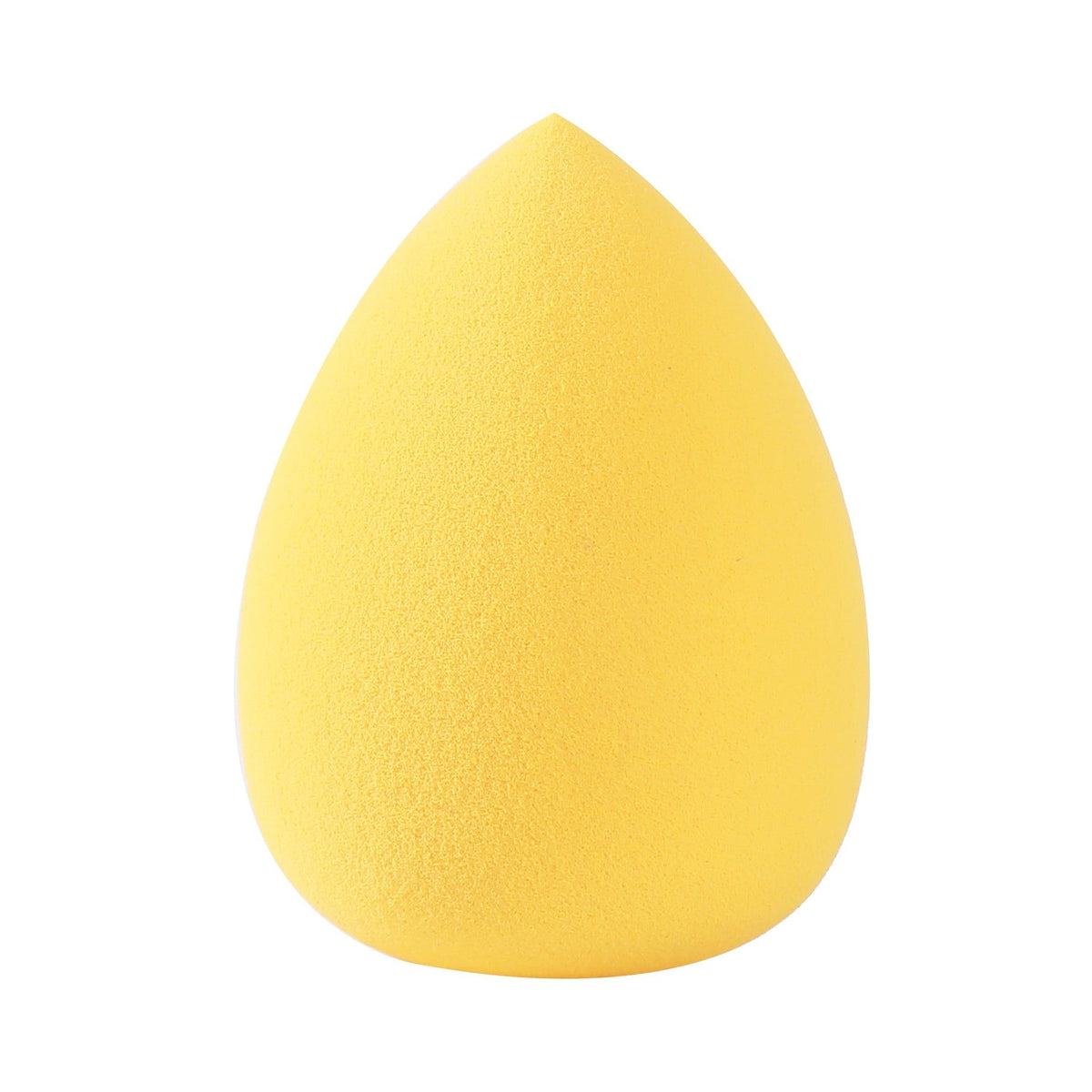 PROLUX Blending Sponge Set