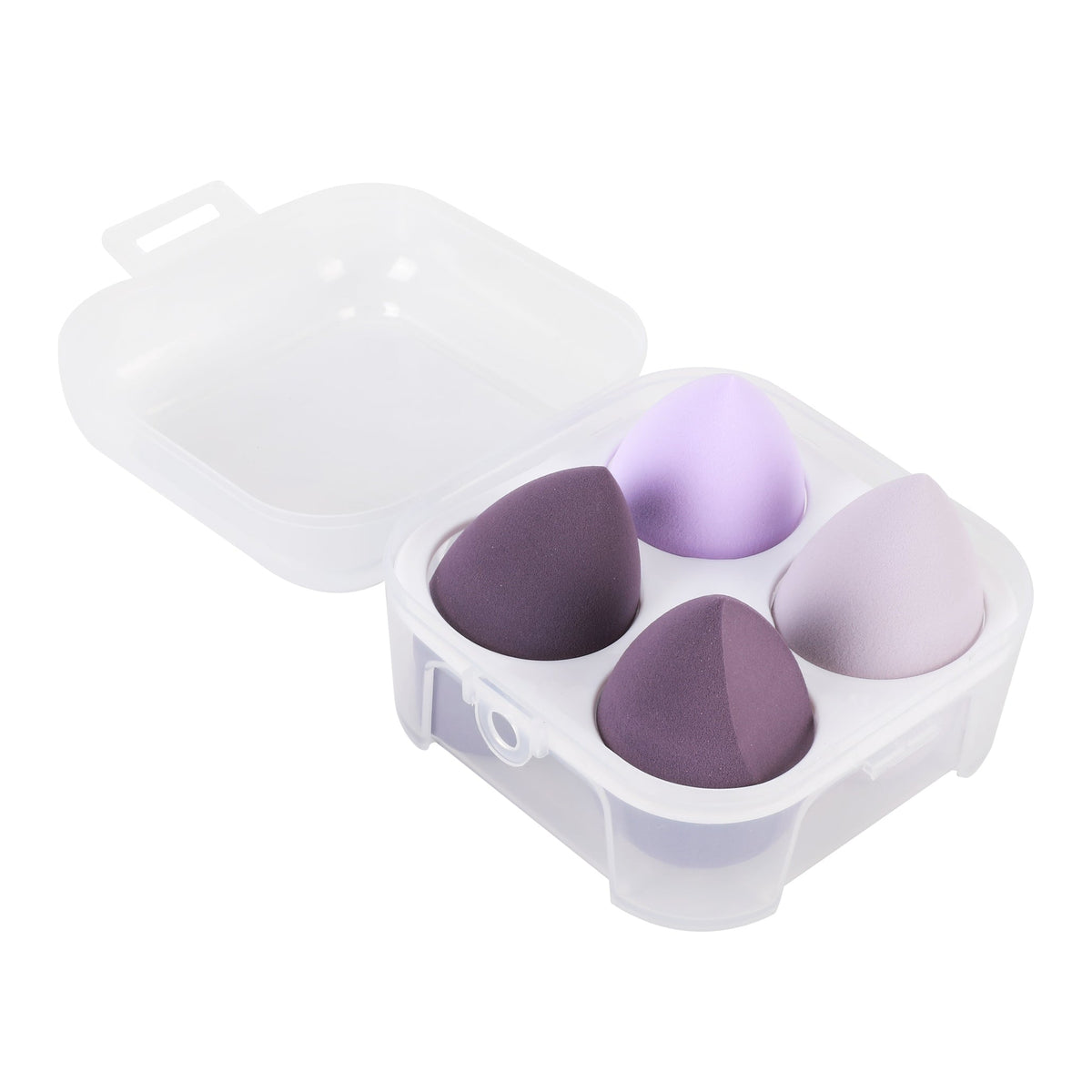 PROLUX Blending Sponge Set
