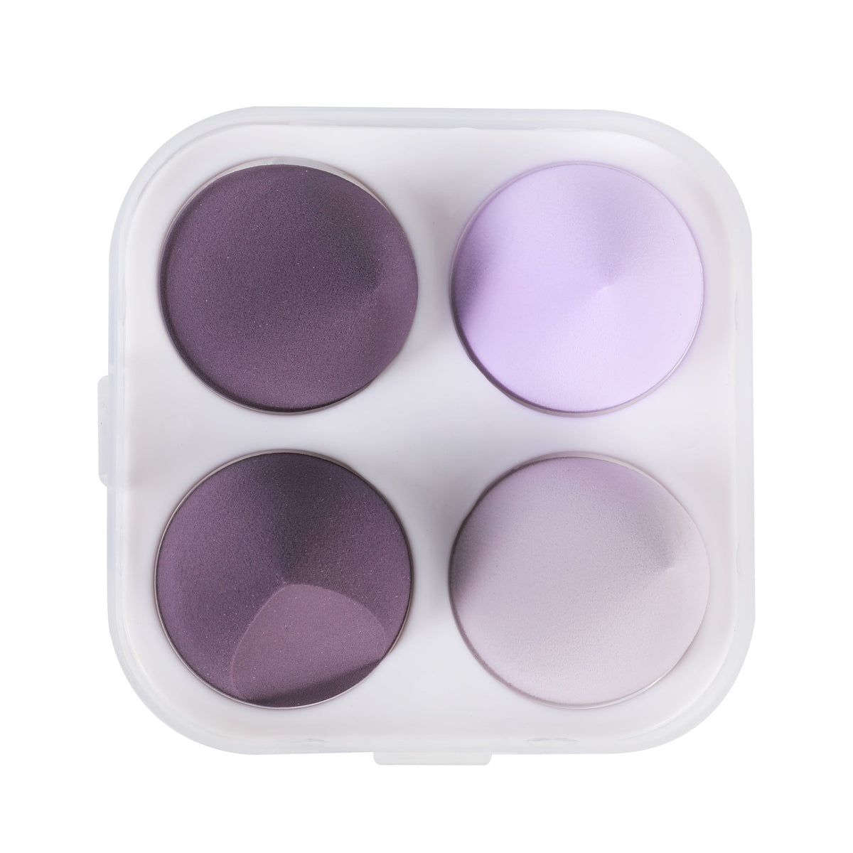 PROLUX Blending Sponge Set