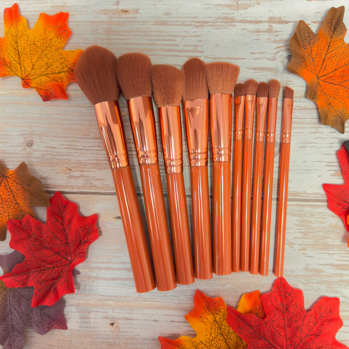 PROLUX Makeup Brush Set - 10 Piece Makeup Brush Collection