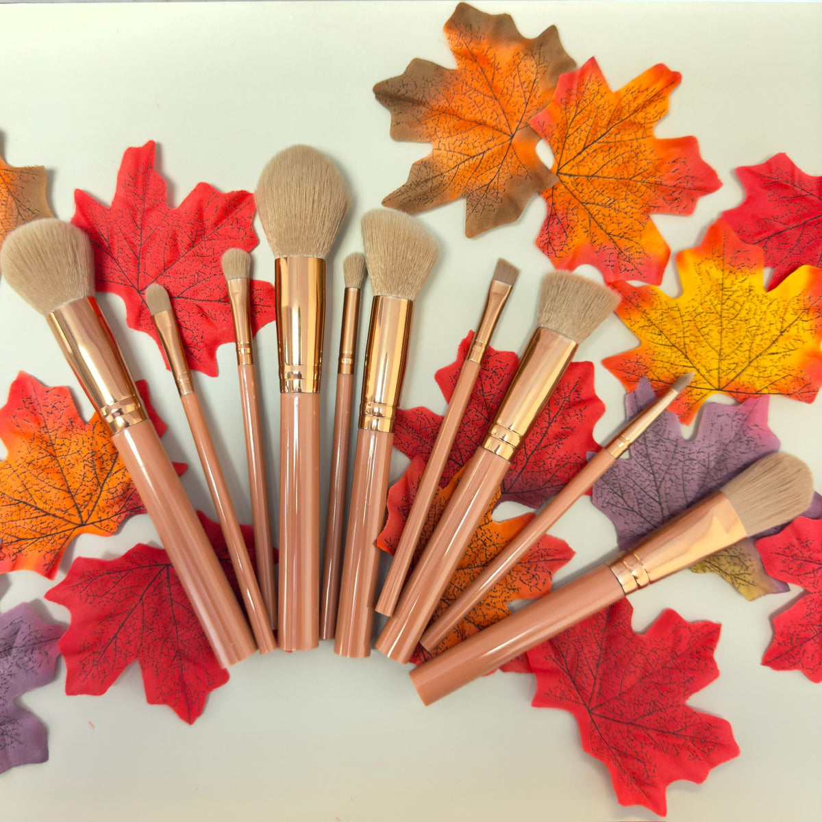 PROLUX Makeup Brush Set - 10 Piece Makeup Brush Collection