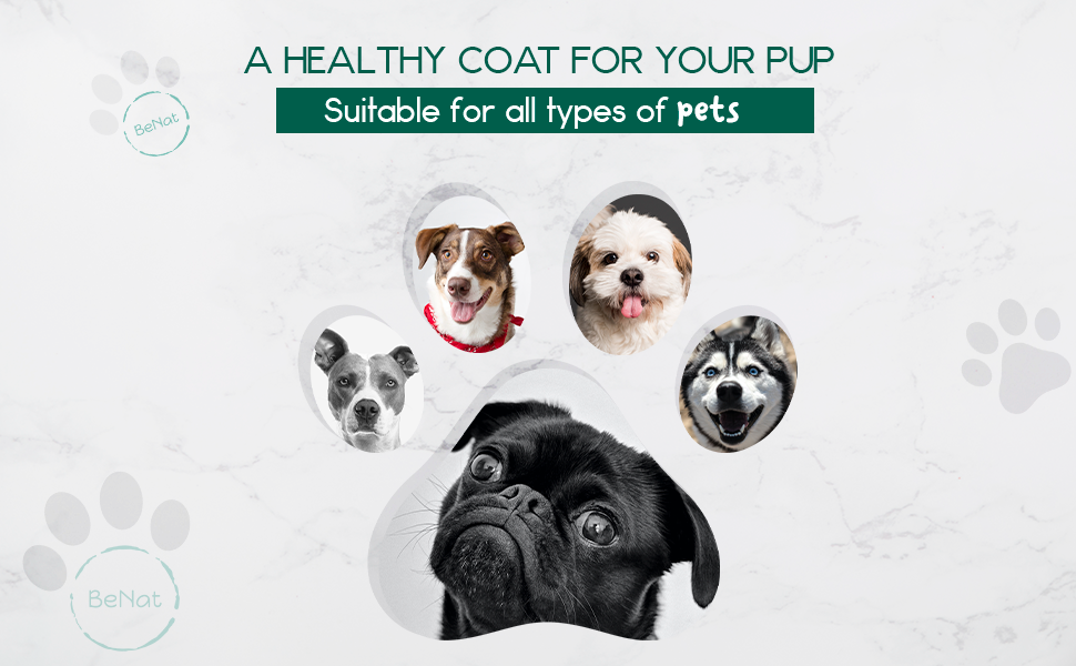 BENAT BeNat Pets. All-Natural Pet Shampoo Bar. Oat. 5.8 oz.