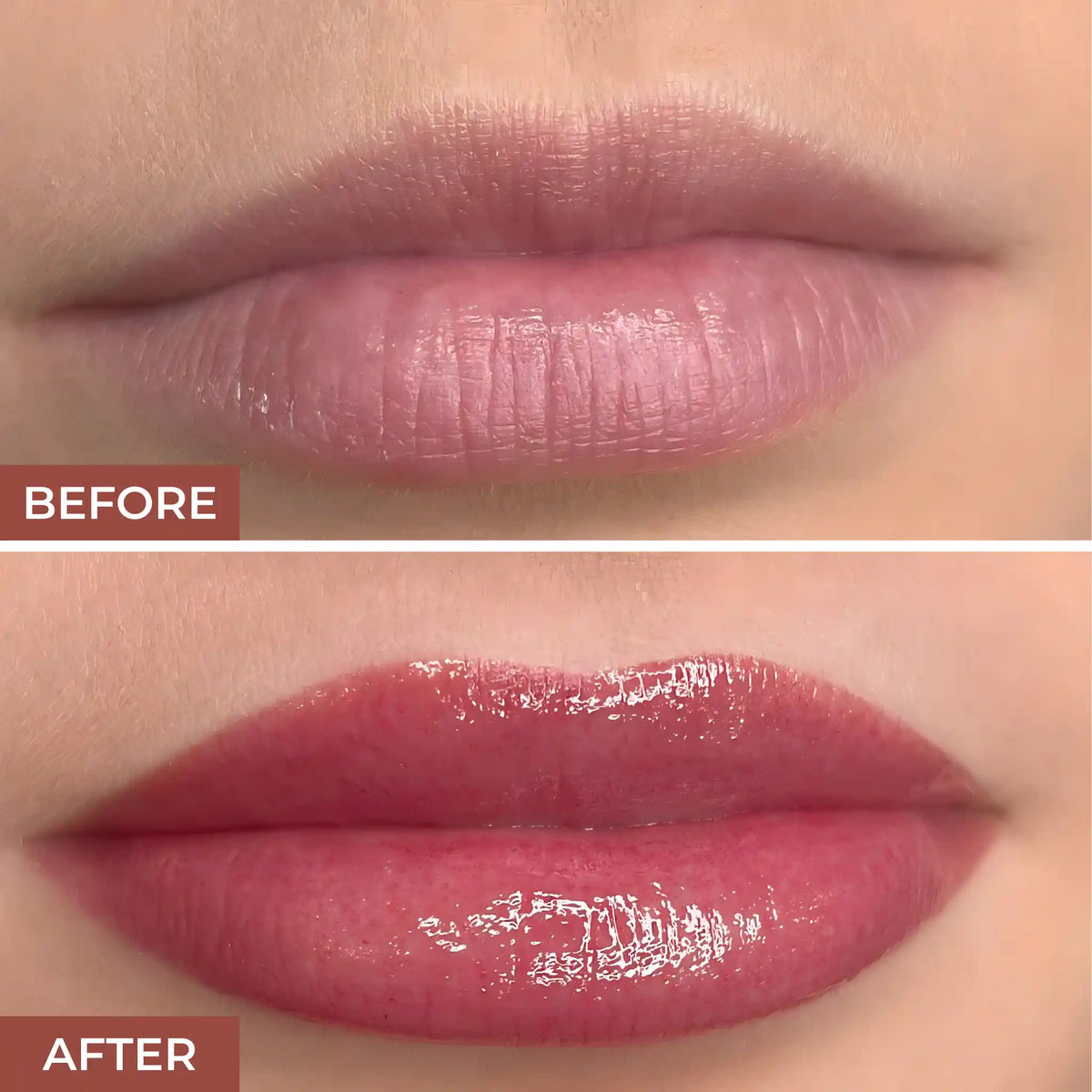 PROLUX Purrfect Paw Best Lipgloss