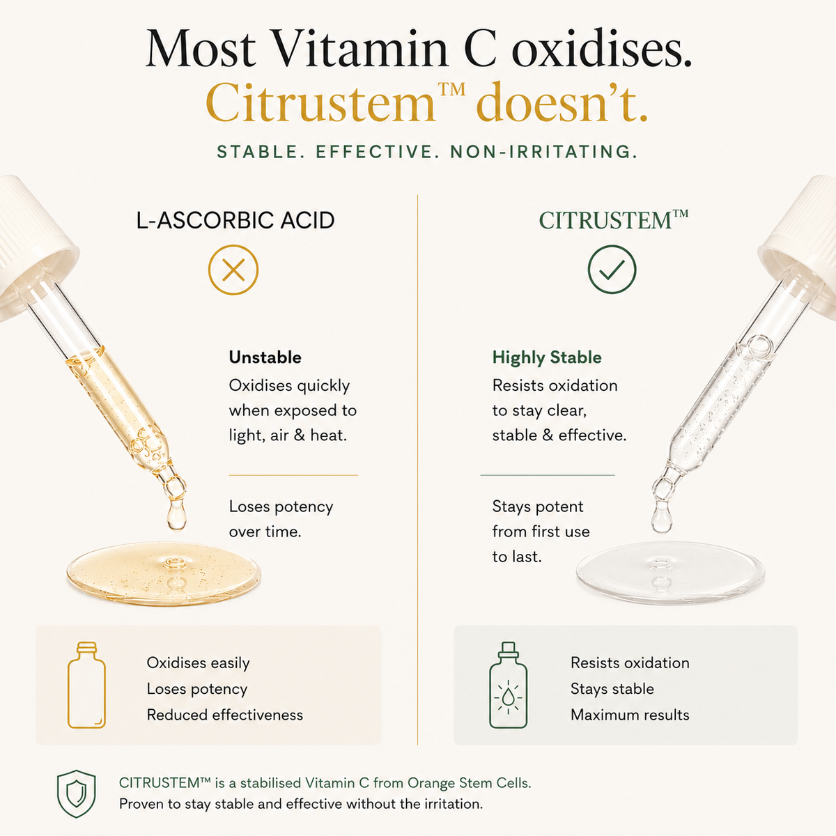 MORNING PERSON Stem-C Vitamin C Brightening Serum with Ferulic Acid