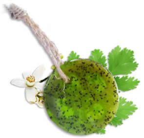 BENAT Speckless Soap Bar. Chia, Lemon, Parsley, and Coconut Oil.