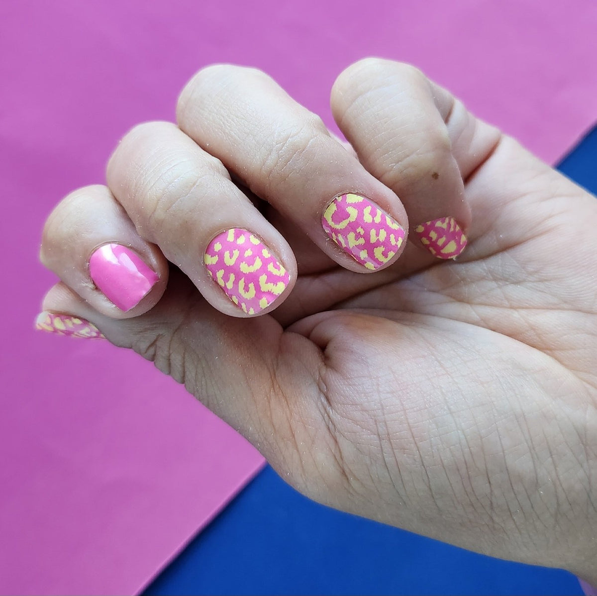 CANDIED Orange Pink