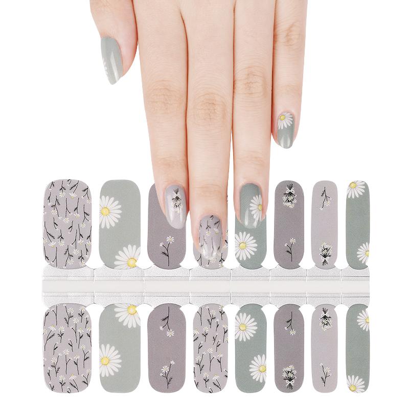 CANDIED White Daisy Days