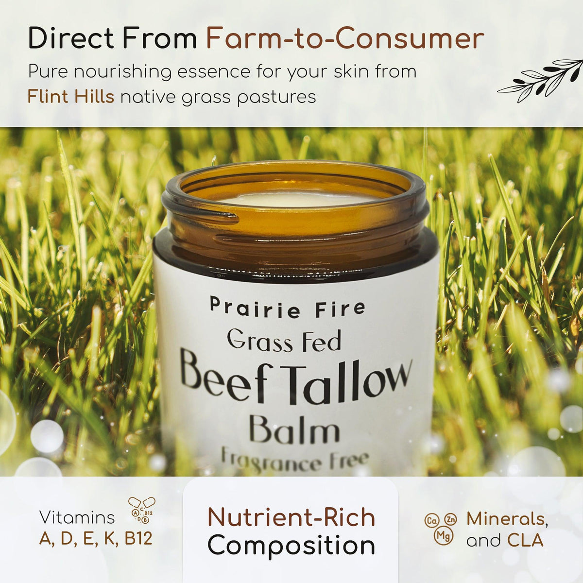Grass Fed Beef Tallow Balm - 2 oz - Grown and Made in USA - Organic Grass Fed and Finished Tallow - Moisturizing Skin Care