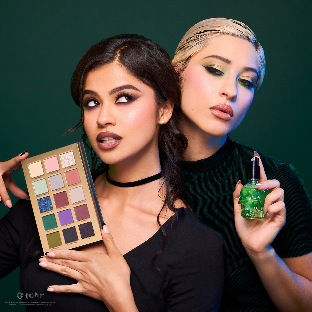 PROFUSION HP Dark Arts | The Dark Arts 15 Shade Palette