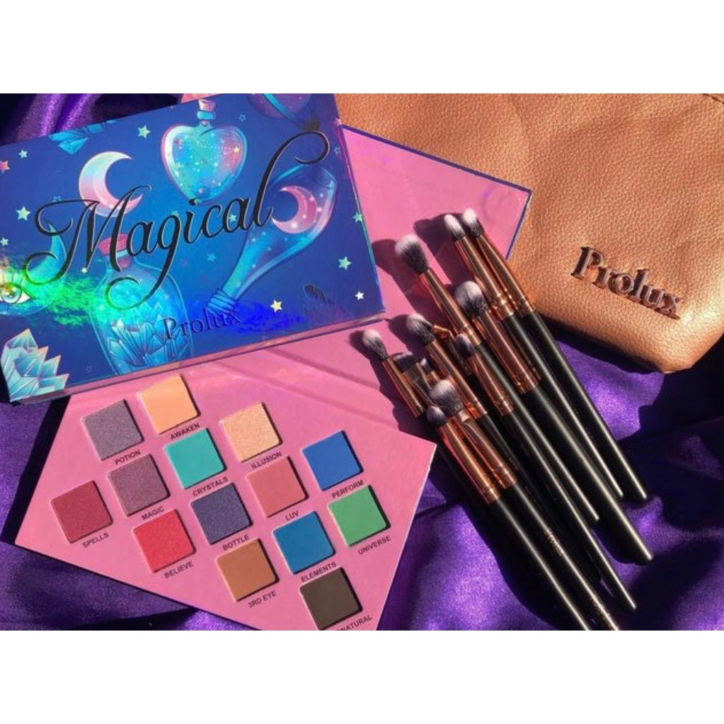 PROLUX Deluxe 12 Piece Eye Makeup Brush Set