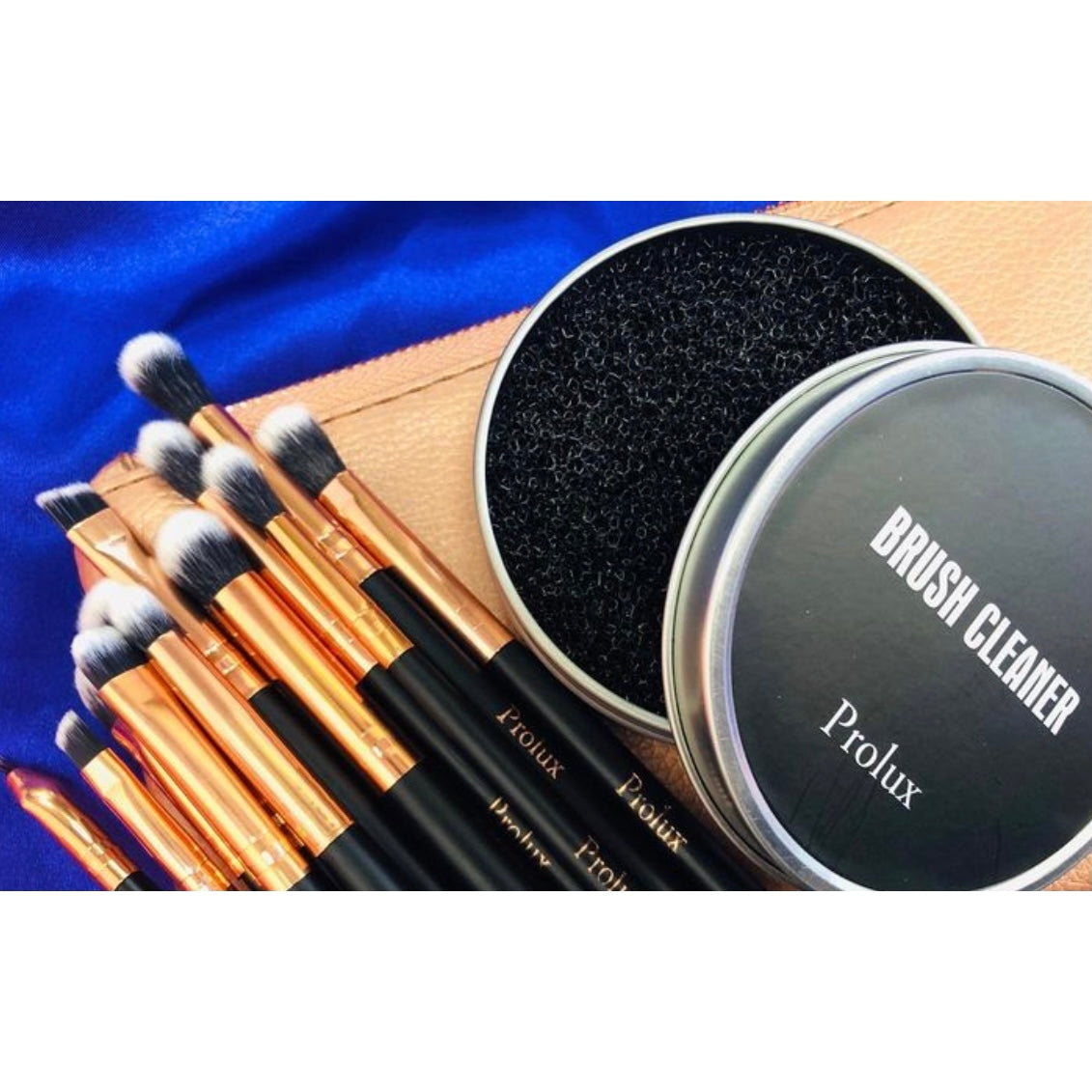 PROLUX Deluxe 12 Piece Eye Makeup Brush Set