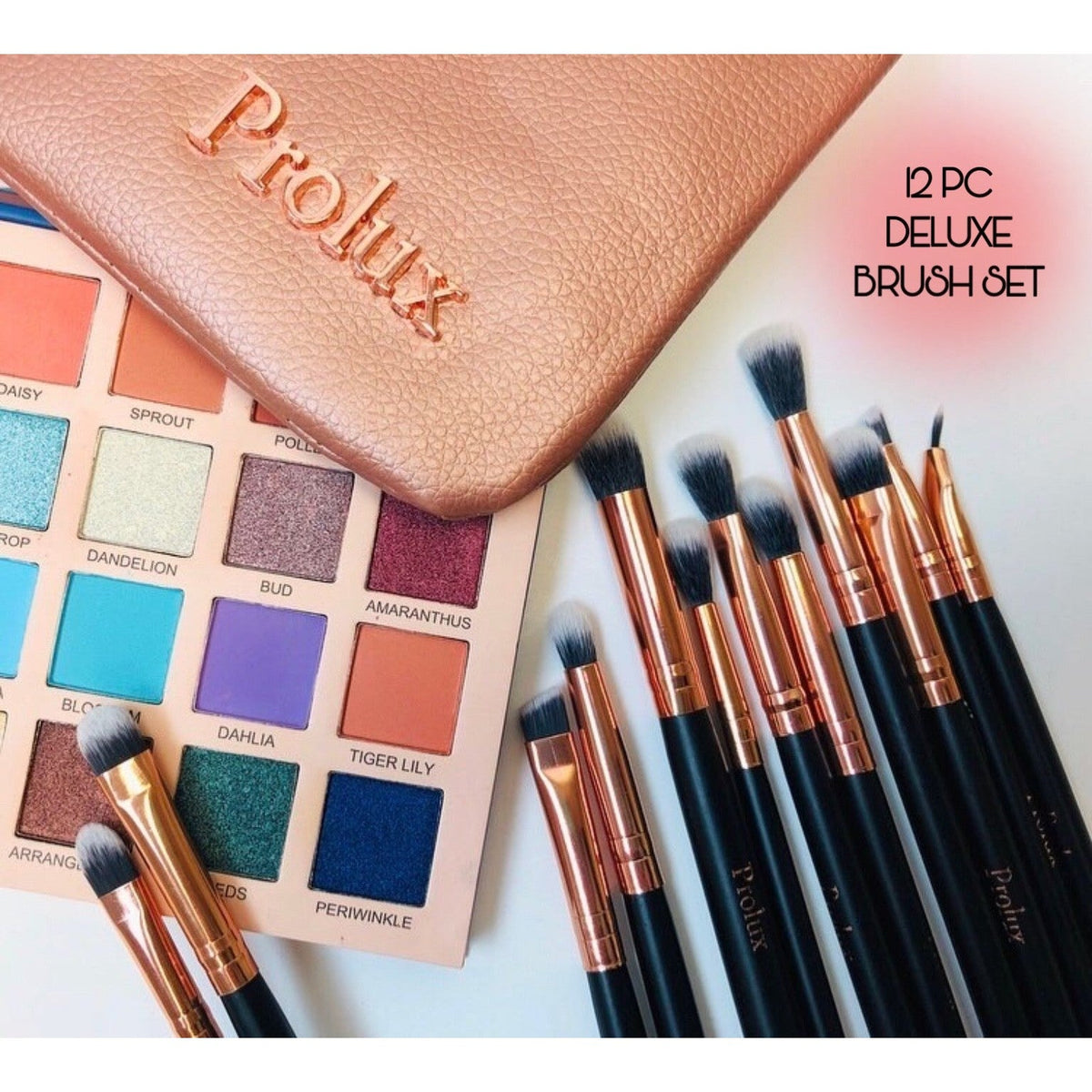 PROLUX Deluxe 12 Piece Eye Makeup Brush Set