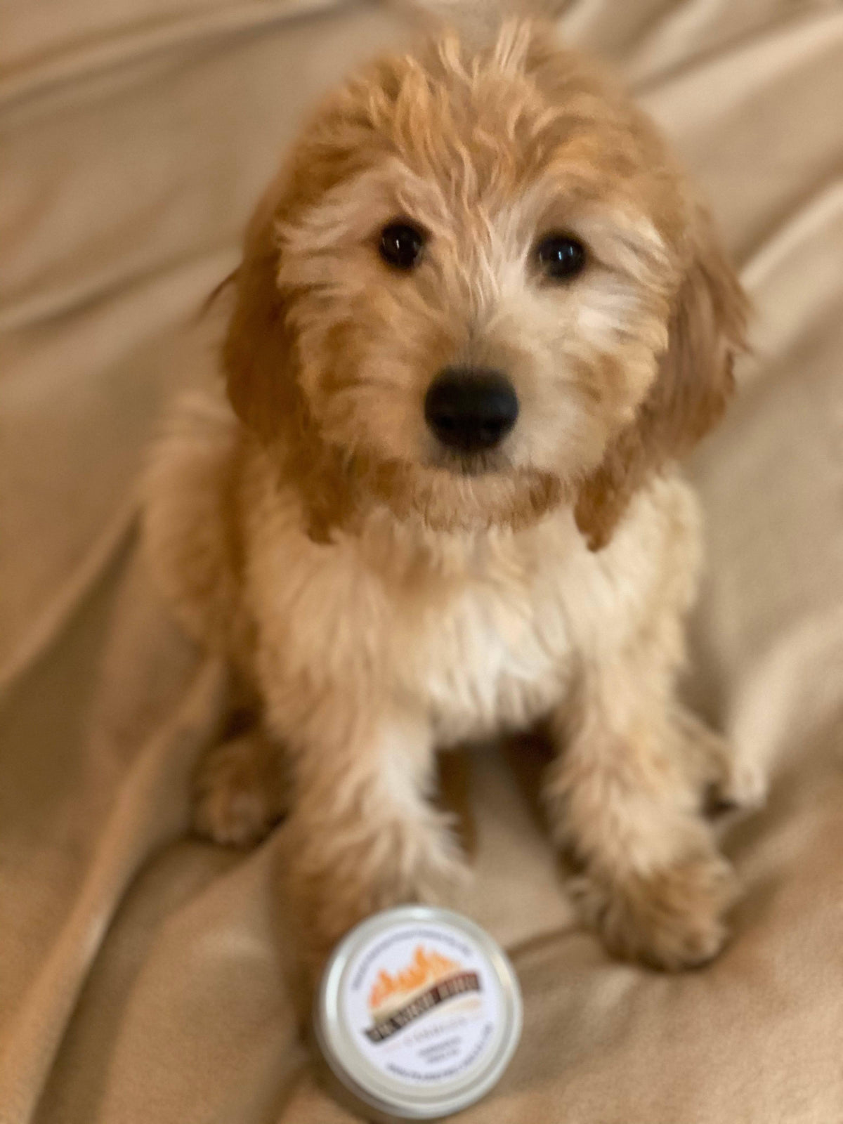 PRAIRIE FIRE Puppy Breath Soy Wax Candle | 9 oz Amber Apothecary Jar