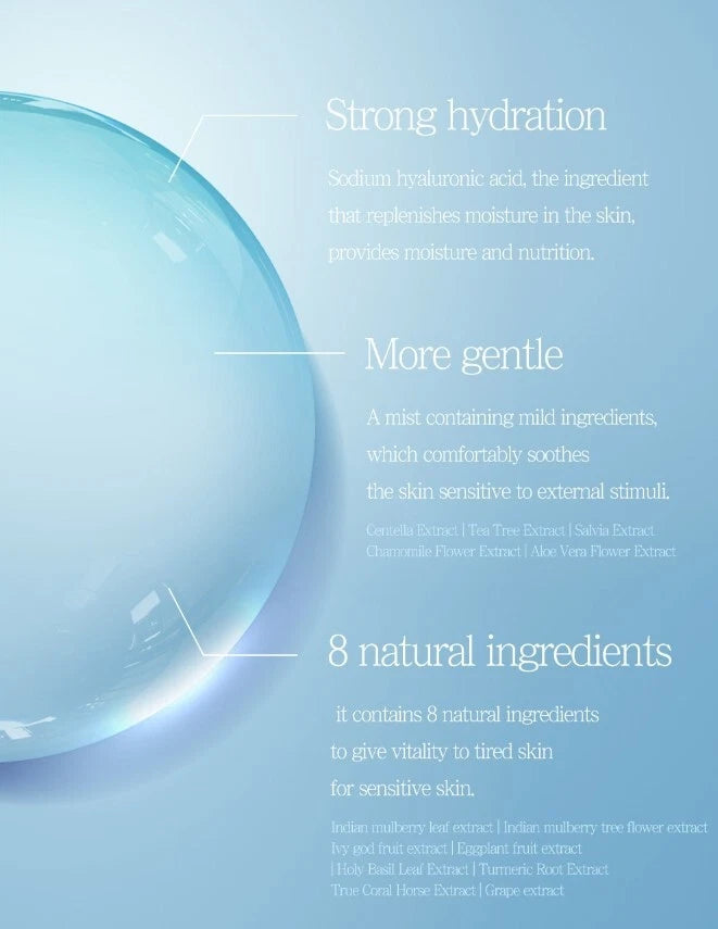 Hyaluronic Acid Moisturizer Mist