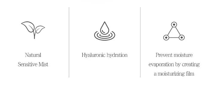 Hyaluronic Acid Moisturizer Mist