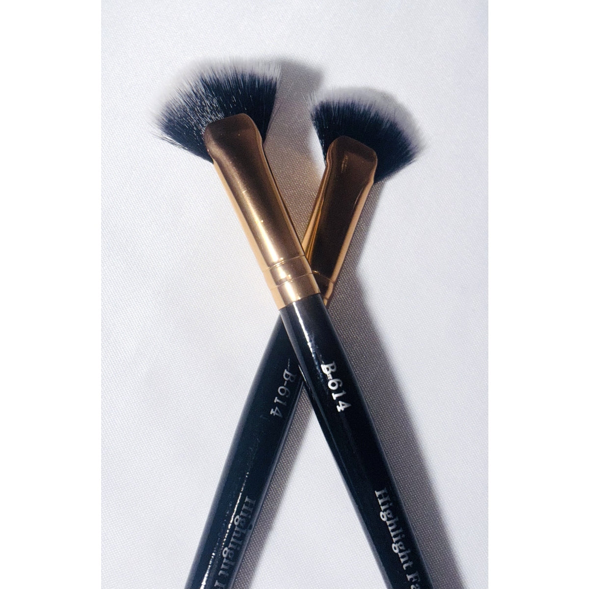 PROLUX Highlight Fan Brush