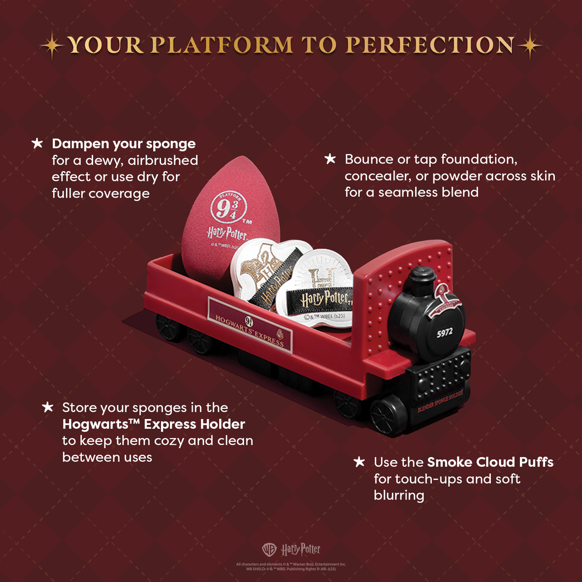 PROFUSION Harry Potter Holiday | Hogwarts™ Express Sponge Set